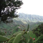 Anaga Mountains Tenerife - below Pico del Ingles