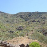 ijuana tenerife - first part-toward Lass casillas